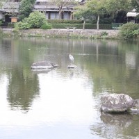 IMG_6608